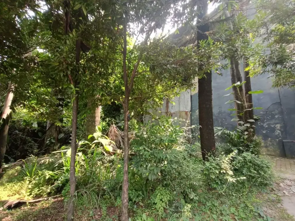 Tanah kosong untuk gudang atau perumahan di Gunung Putri - Bogor