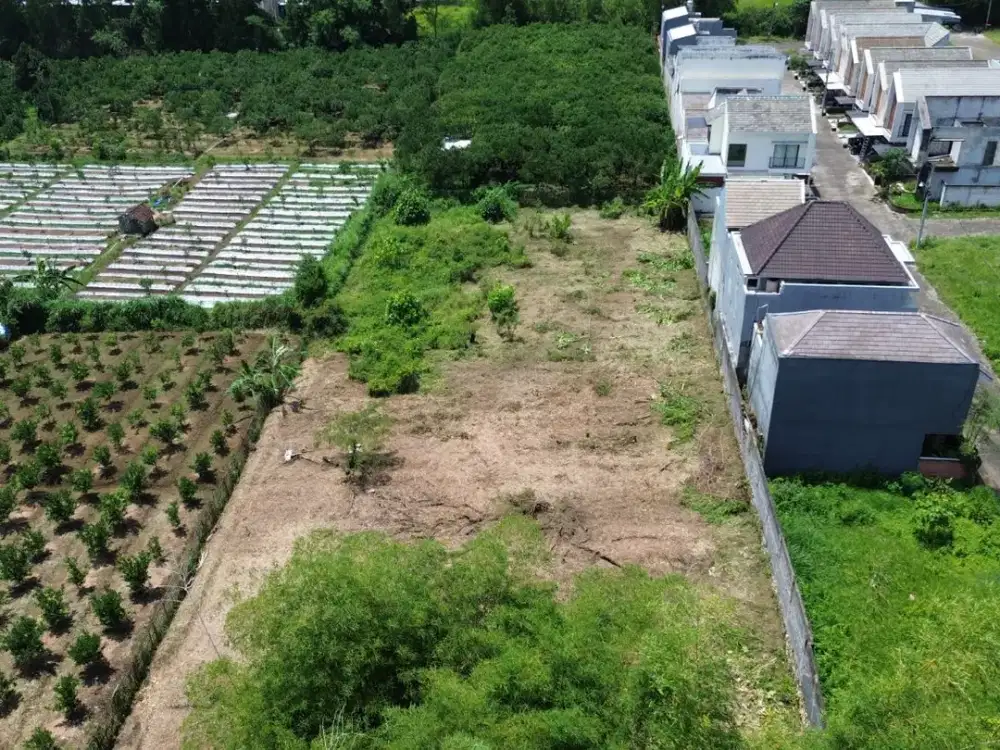 Tanah Murah Landungsari Dekat UMM & Kampus-Kampus Besar