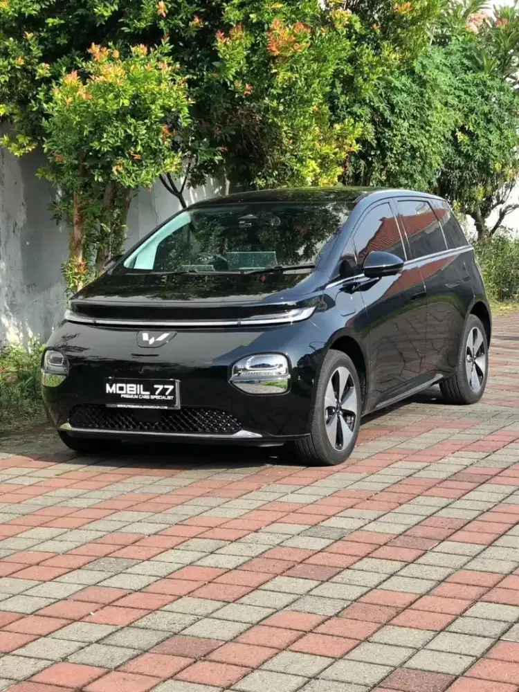 WULING CLOUD PRO460KM EV 2024