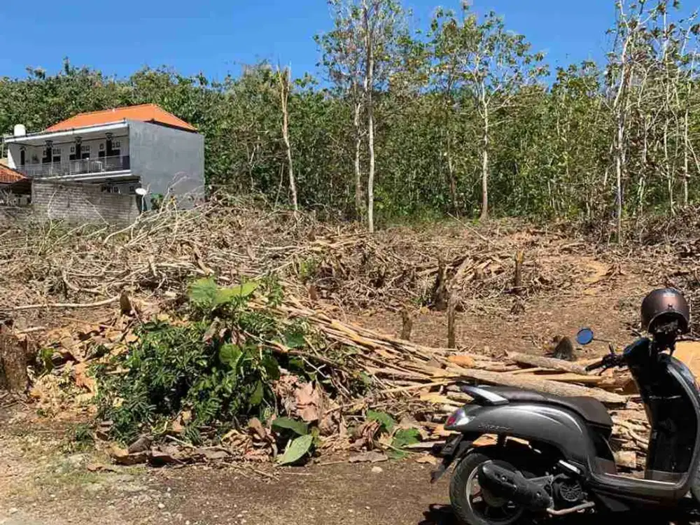 dijual tanah 12,60 are IDR nett 350 juta /are dipurigading jimbaran Kuta Selatan Badung Bali