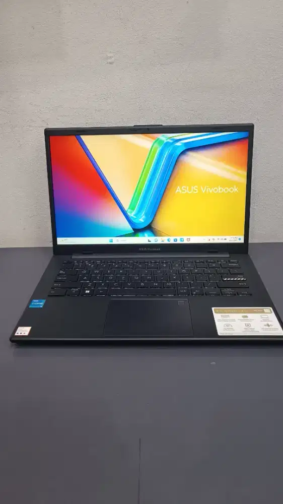Asus vivobook GO E1404GA