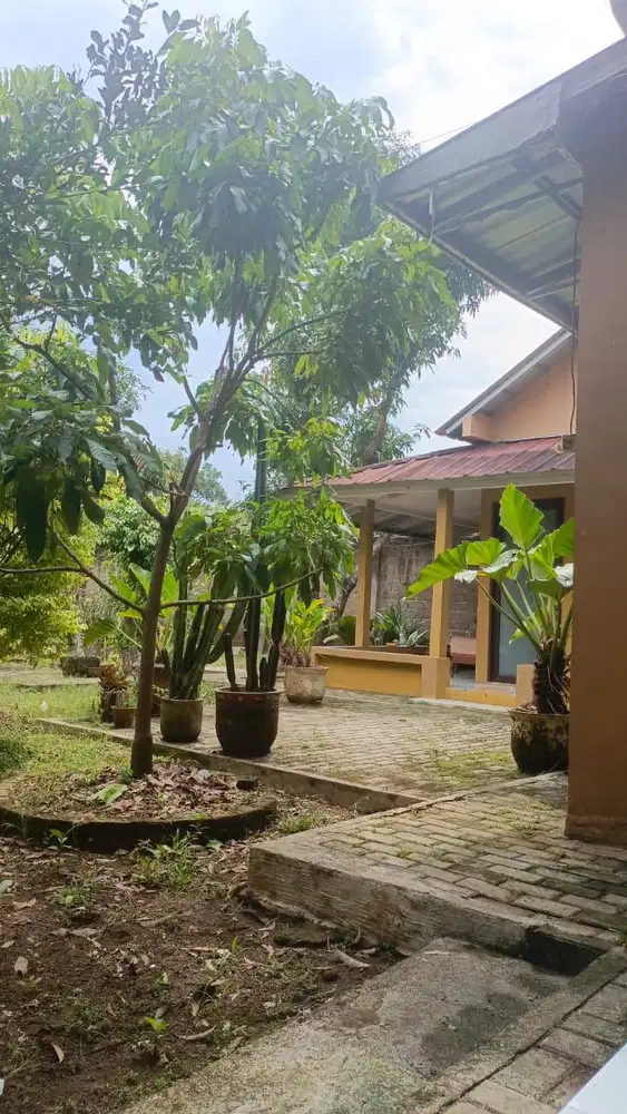 Dijual Cepat Rumah Halaman Luas