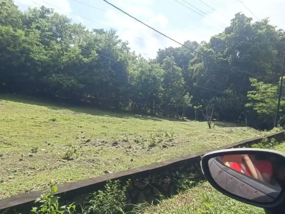 Tanah kosong Sertifikat Hak Milik dipinggir Jalan Denpasar-Gilimanuk.