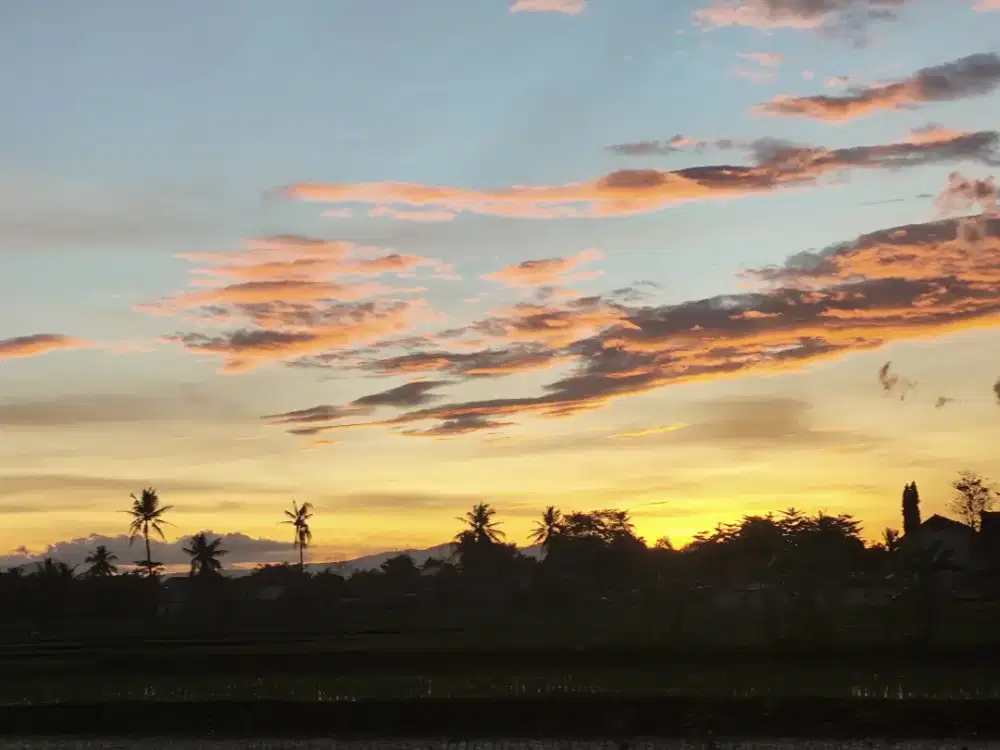 Lowongan Koki untuk Catering