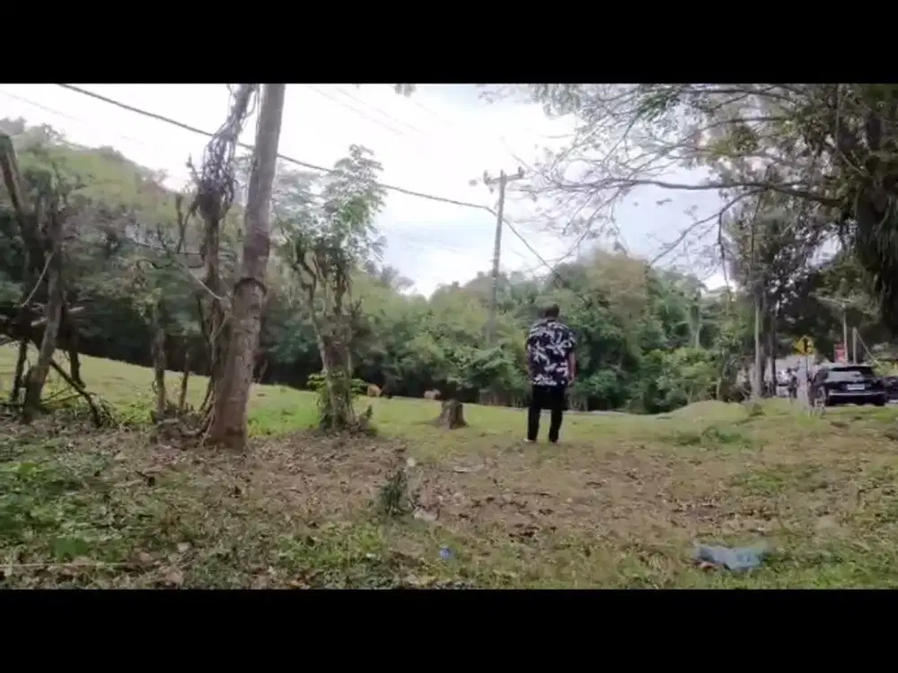 Tanah kosong Sertifikat Hak Milik terletak dipinggir Jalan Raya Denpasar-Gilimanuk, Antap , Tabanan