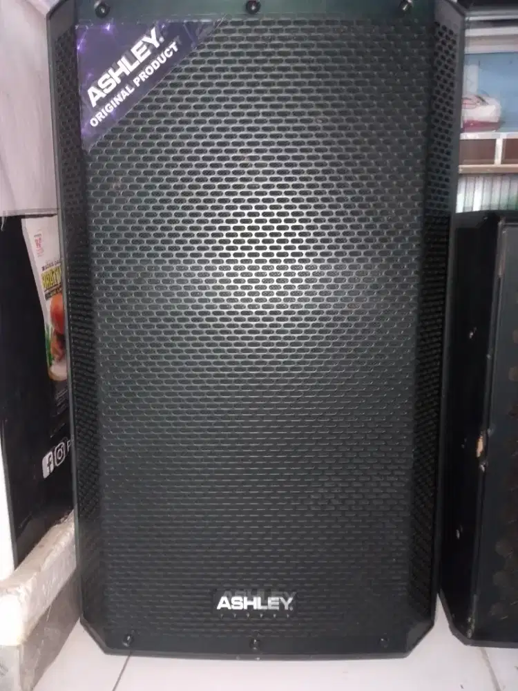 Speaker monitor ashley