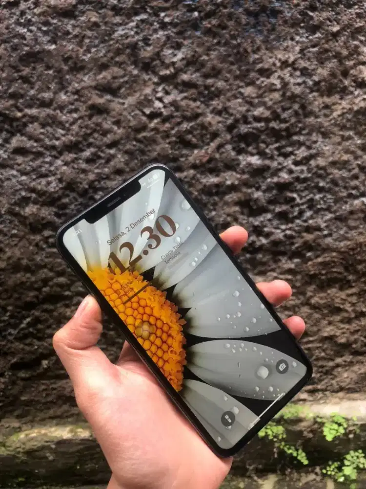 iPhone Xs Max 64gb dual sim