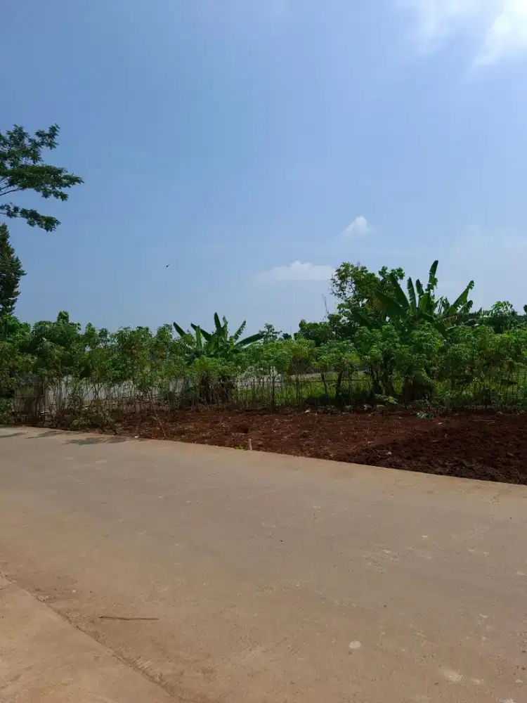 TANAH STATEGIS DI MULAWARMAN UNDIP TEMBALANG