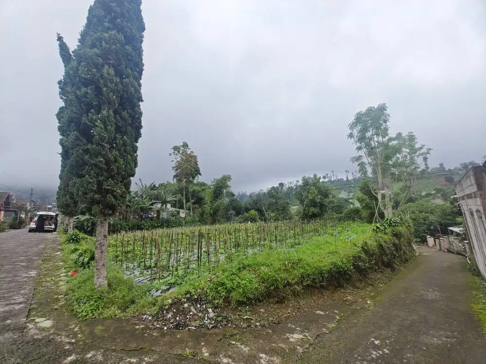 Dijual Tanah (BU) daerah Desa Wisata