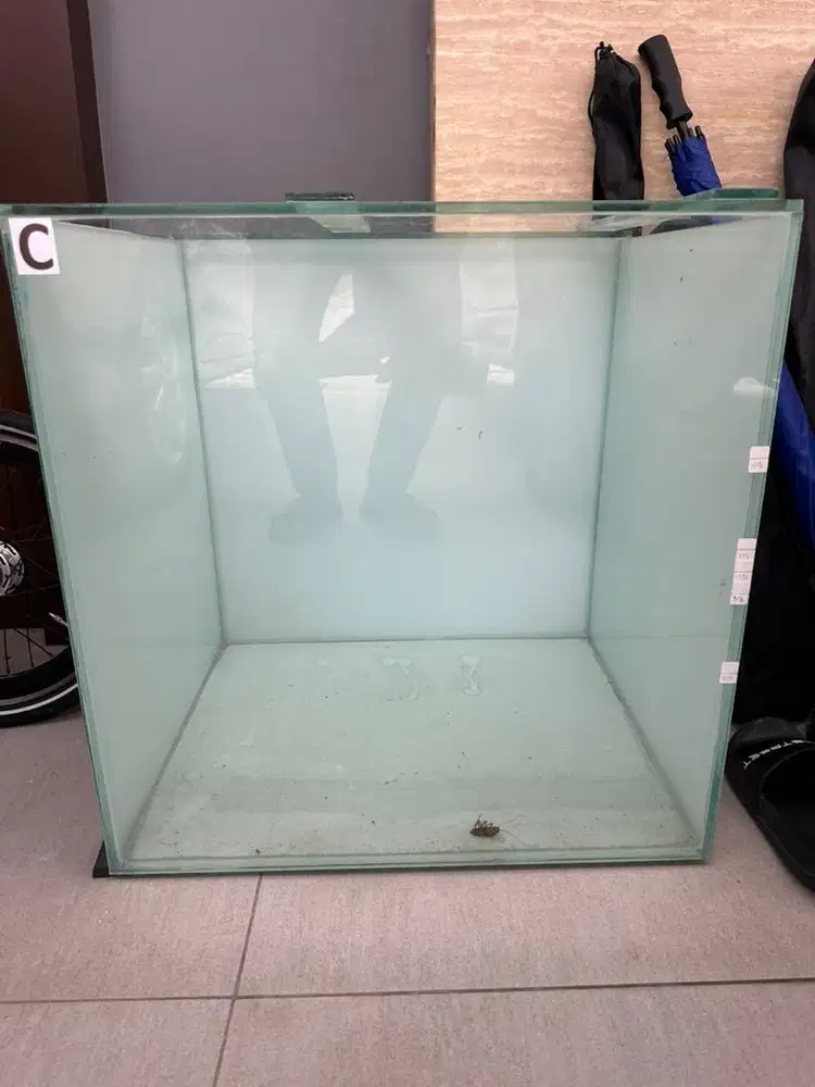 Aquarium Siap Pakai Ukuran Panjang 50, Lebar 50, Tinggi 60cm
