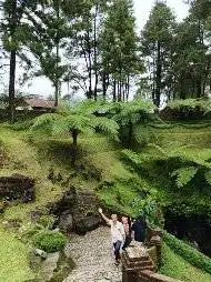 Potong Rumput , Taman dan Tebang pohon