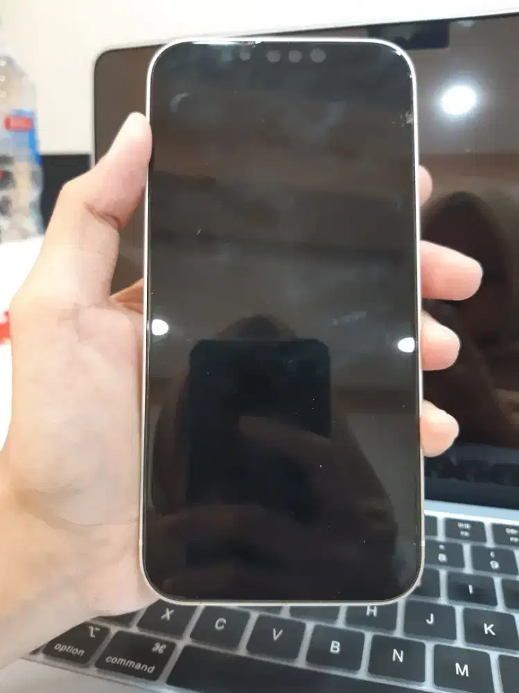 Jual Iphone 13 256gb