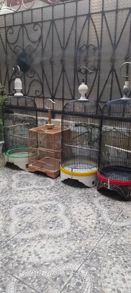 Sangkar Burung lovebird