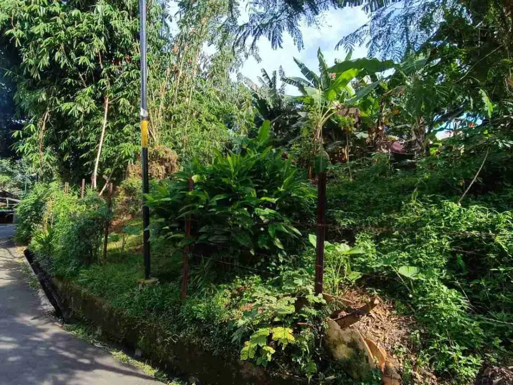 Dijual Tanah Cocok untuk Komersil