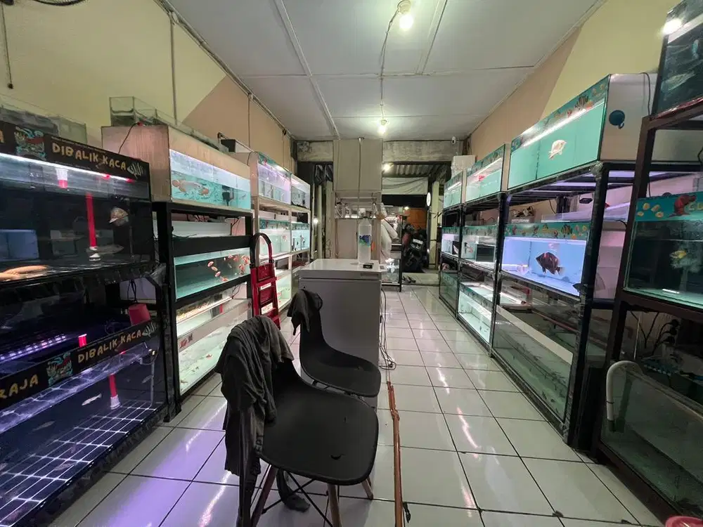 Cari karyawan jaga Toko ikan