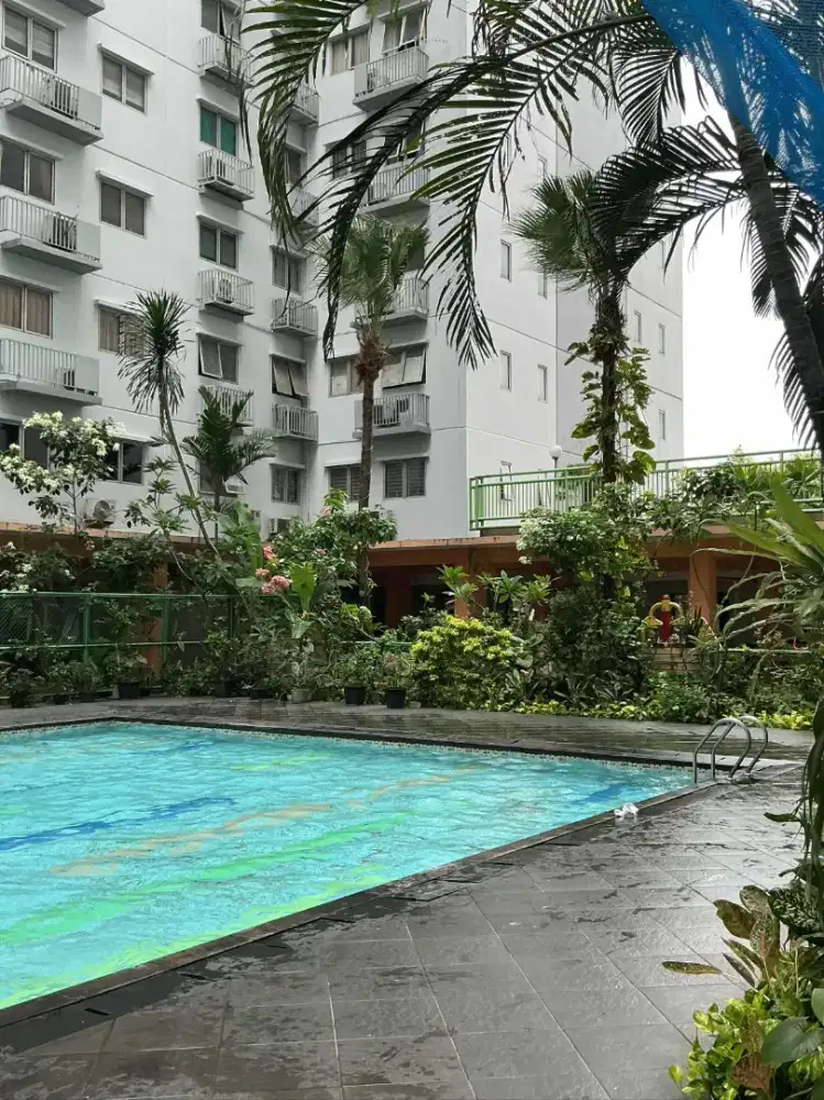 dikontrakkan/dijual murah dibawah pasar  apartement gading icon city