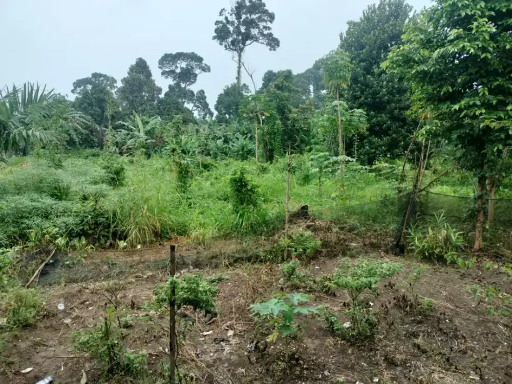 Tanah di jual pinggir jalan