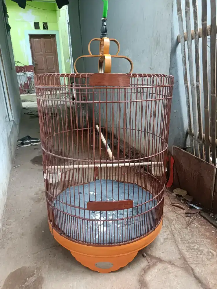 Kandang murai no.2 fulsett krodong kopral