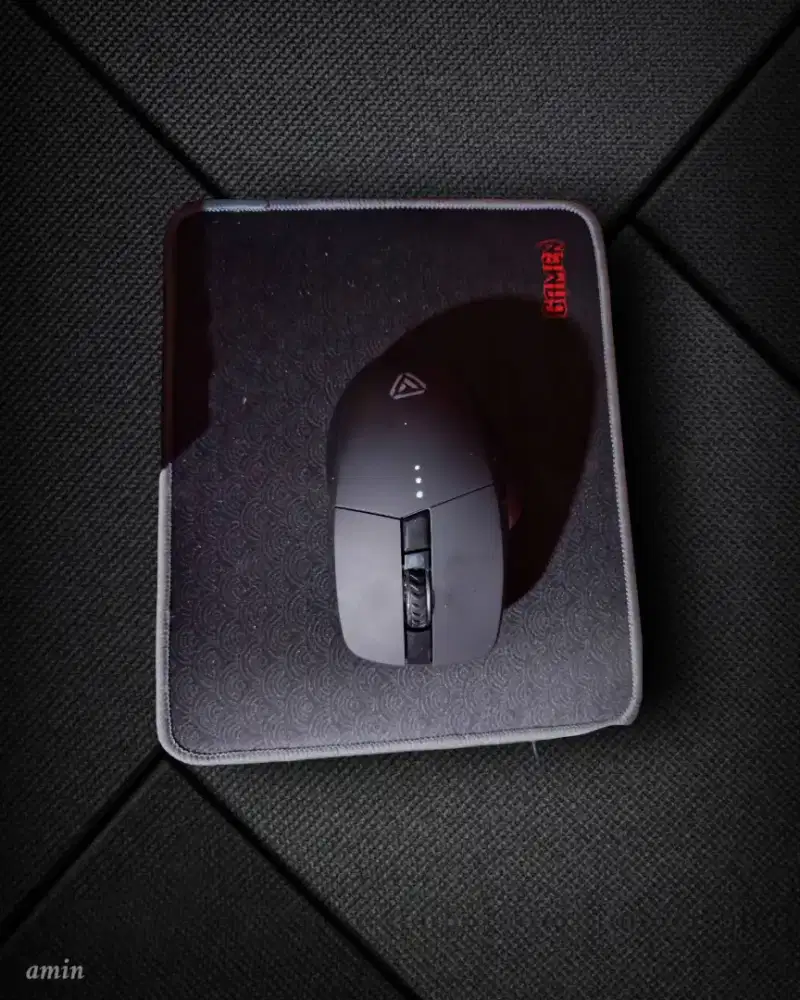Mouse wireless murmer