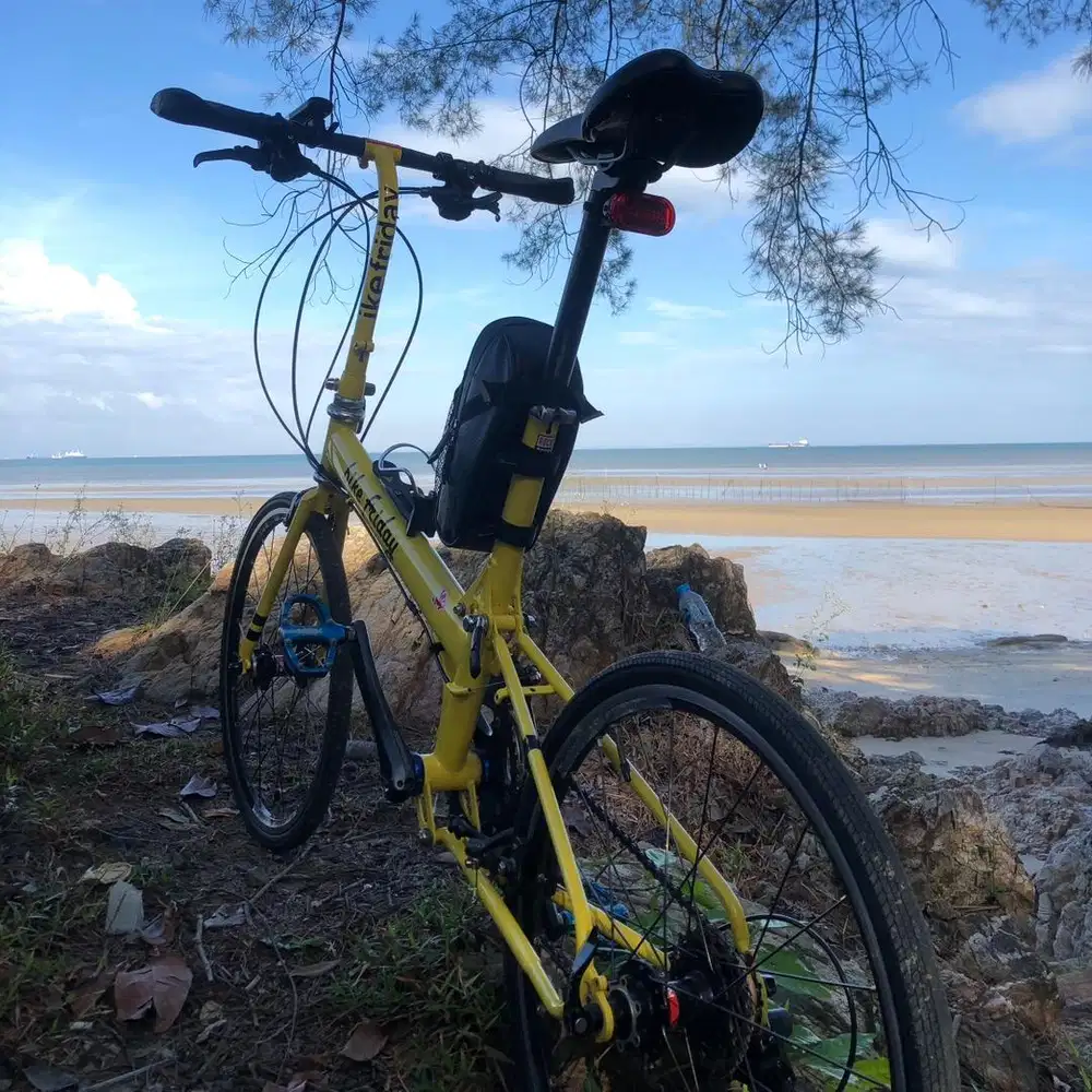 Bike Friday Pocket Rocket