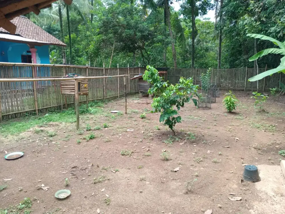 Dijual Cepat Tanah Pribadi seluas 390 m²