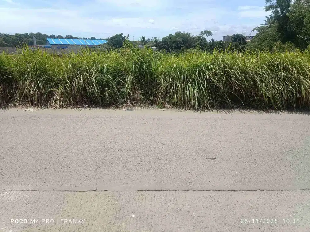 tanah 1 hektar zona industri pancatama cikande serang banten