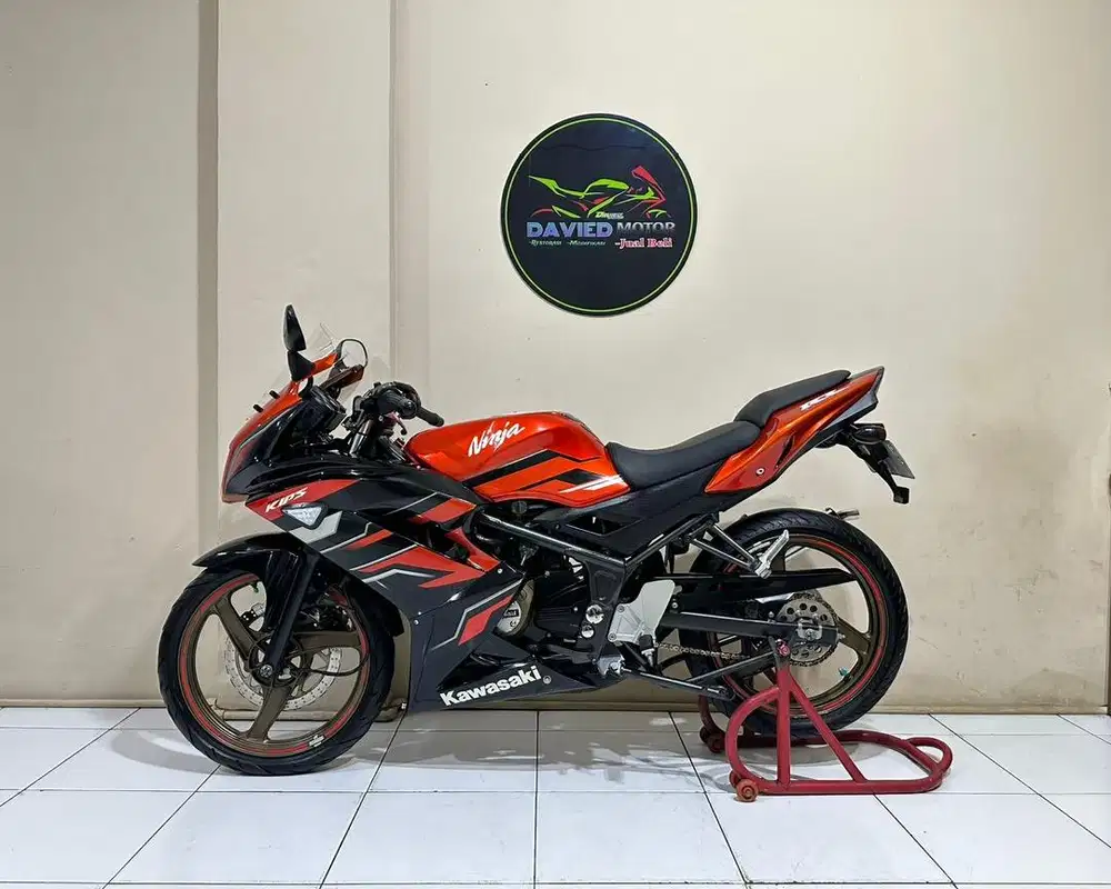 Ninja RR NEW SE 2015 pjk pnjng seger original rawatan