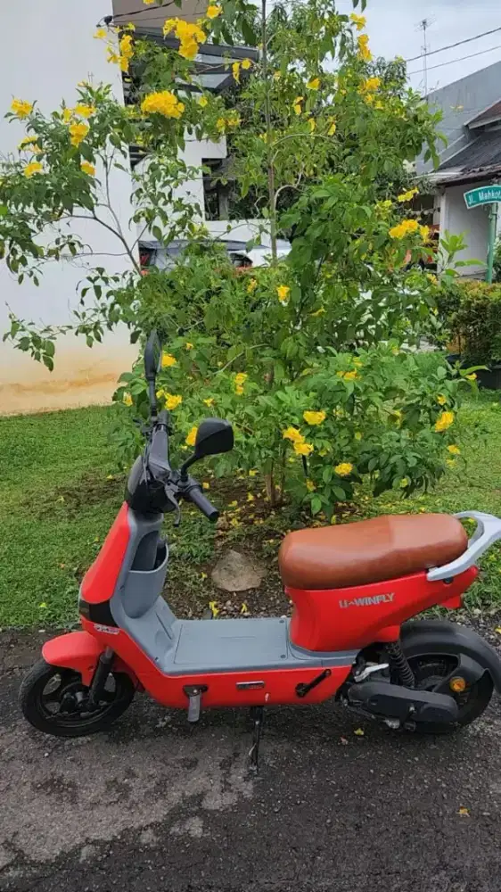 SEPEDA LISTRIK U-WINFLY D8S