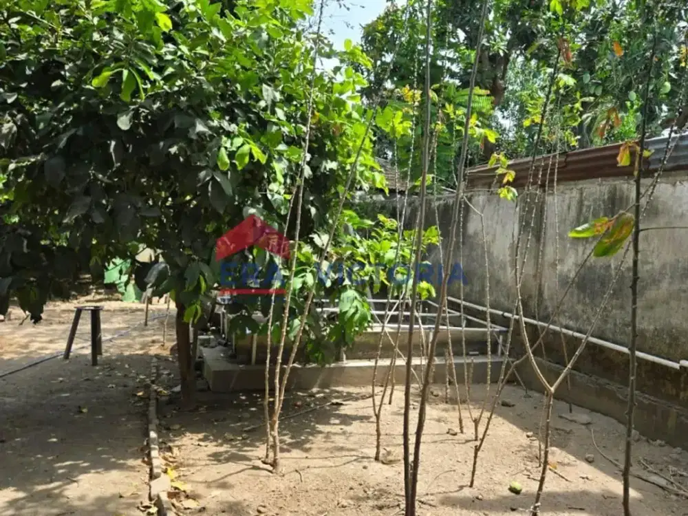 Tanah di desa Ketami Kota Kediri Jawa Timur