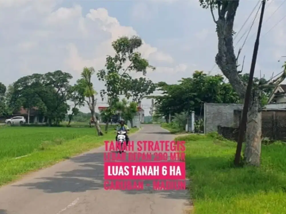 [L] Tanah Istimewa LD 280 mtr, dekat Jalan Raya Propinsi, CARUBAN Madiun