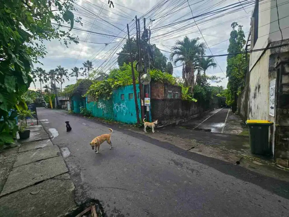 Tanah Petitenget Seminyak Badung Bali