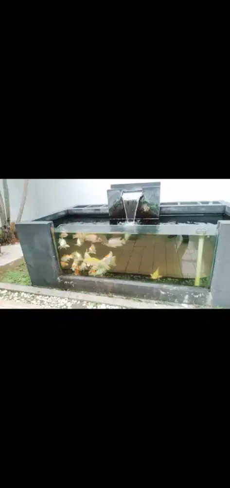 Perawatan kolam ikan dan aquarium air tawar