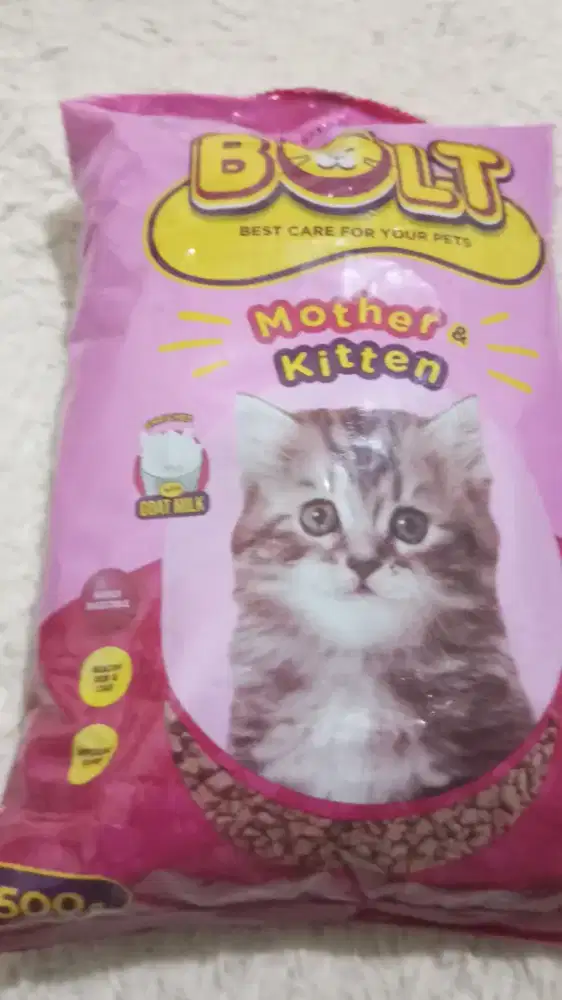 Adopsi Kucing anakan