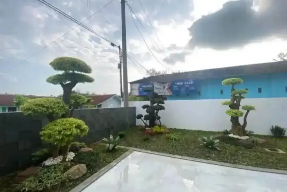 Tukang pembuat Taman dan kolam koi