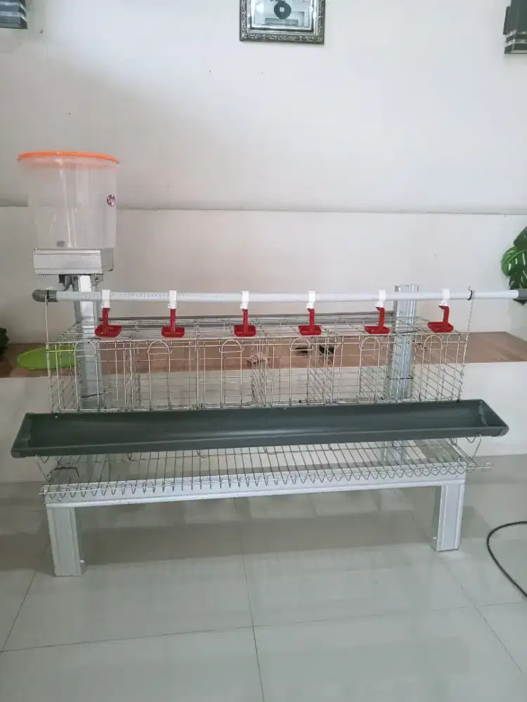 Kandang ayam petelur skala rumahan
