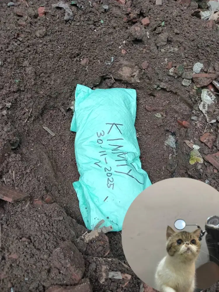 Jasa kubur kucing dan anjing JEMPUT BUNGKUS