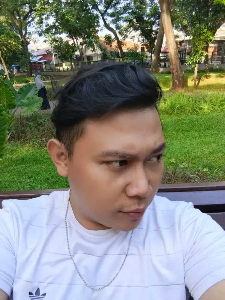 Driver pribadi/ajudan pribadi