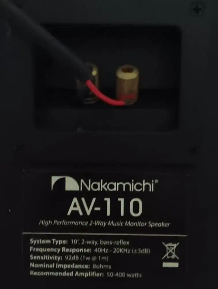 Speaker Nakamichi AV-110