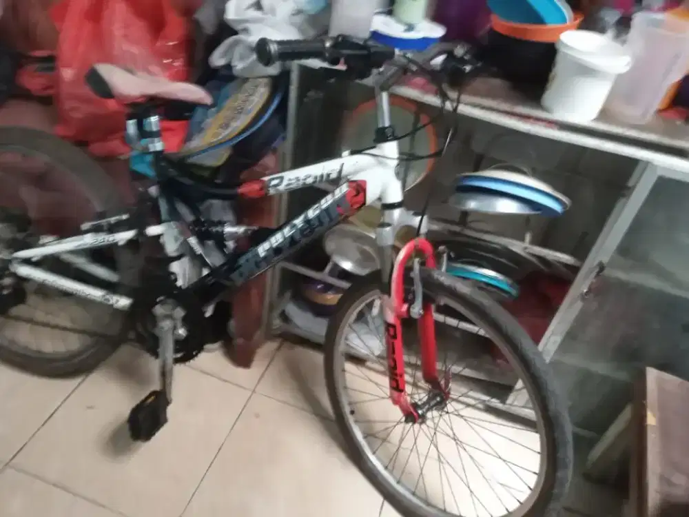 Di jual sepeda Polygon