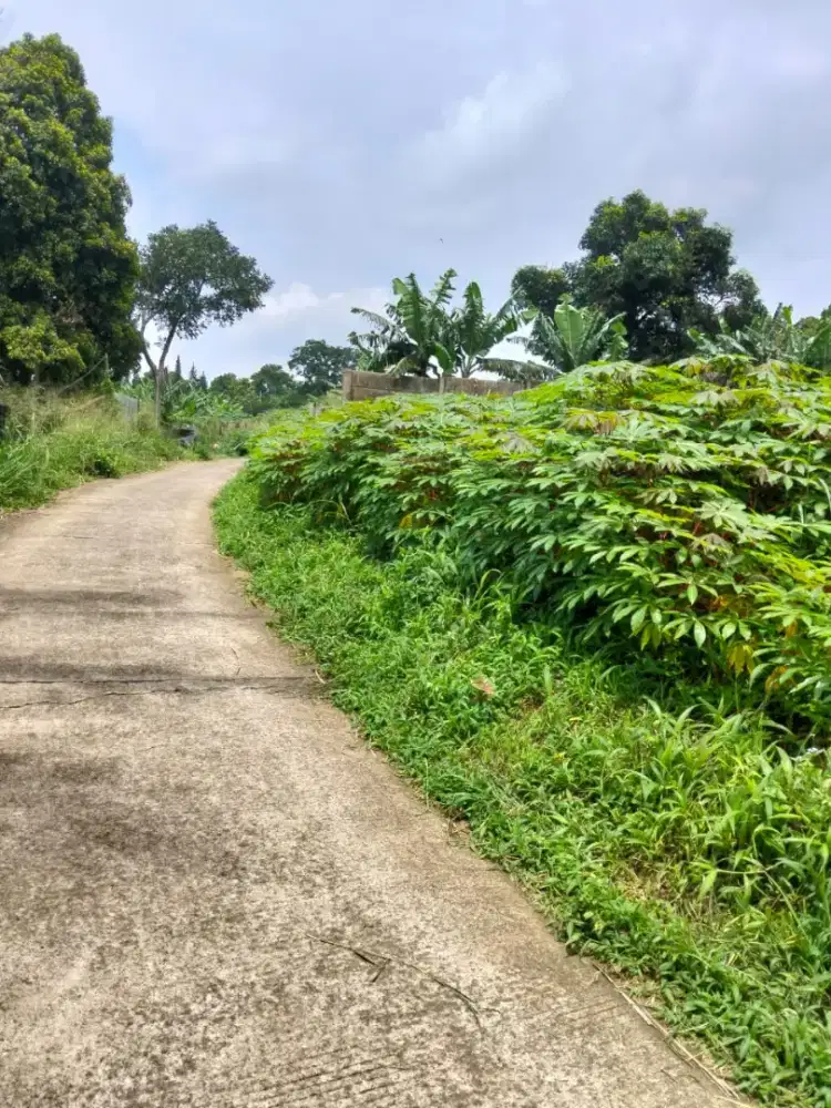 Jual tanah luas 9000m2 bisa di kavling per 3000m2