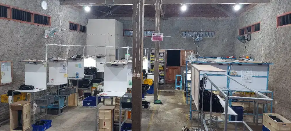 Cari karyawan wanita/pria