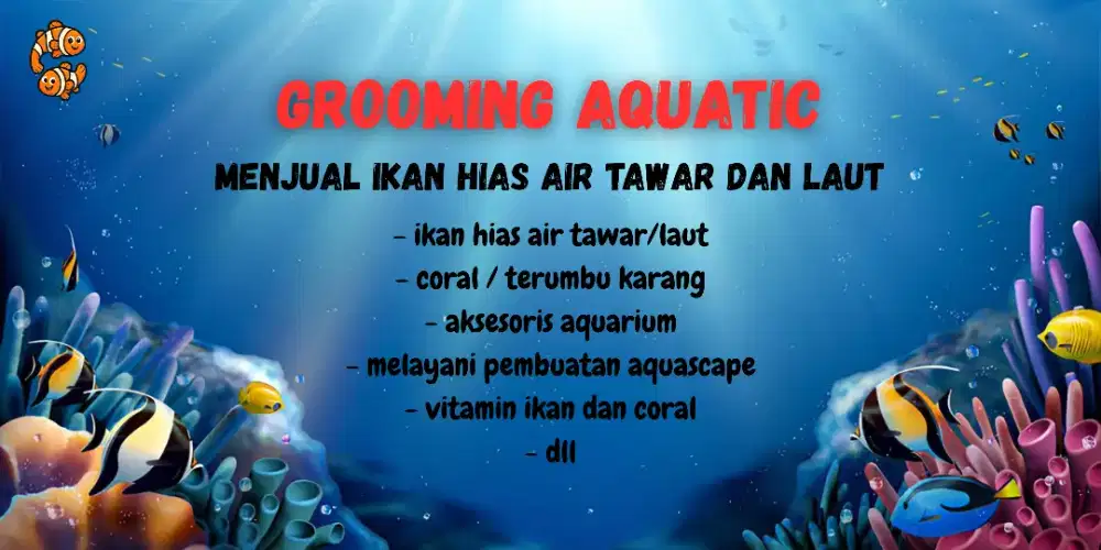 Jual Coral dan ikan hias laut dan tawar
