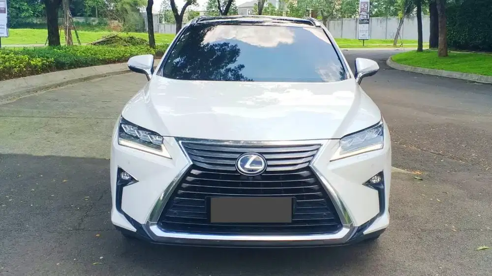 LEXUS RX300 LUXURY 2018 LOW KM
