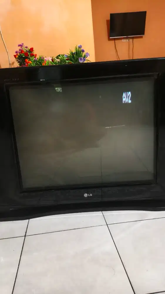 TV LG pearl black 29 inch