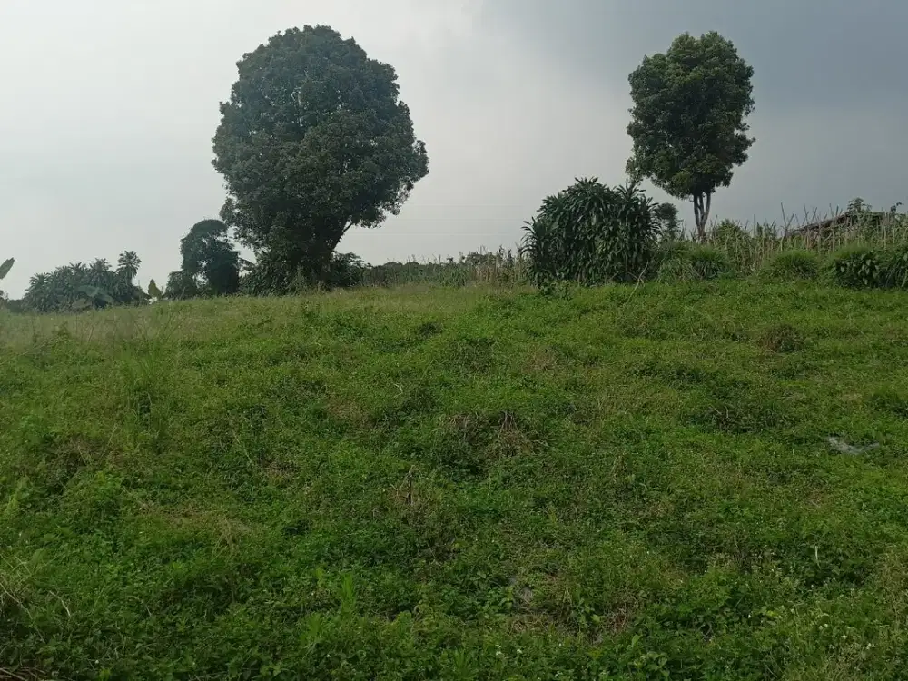 Kavling SHM Area Wisata Tamansari Free SHM