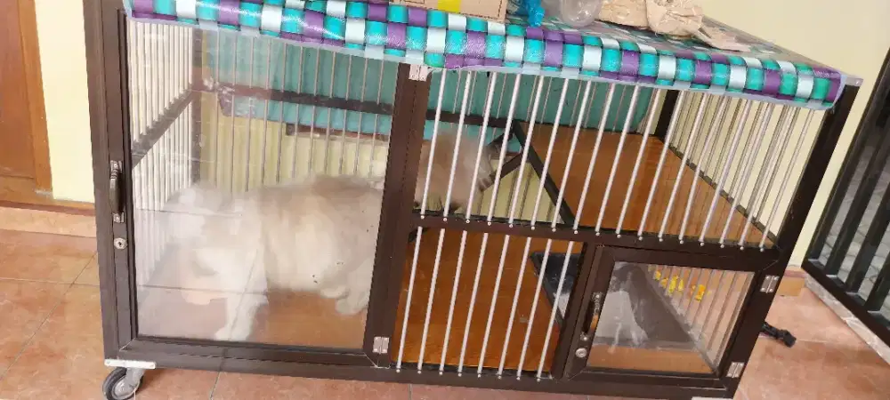 Dijual kandang kucing