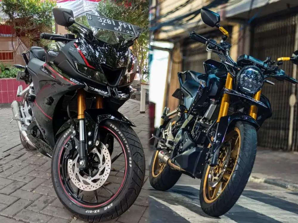 R15 V3 (2018) custom street fighter