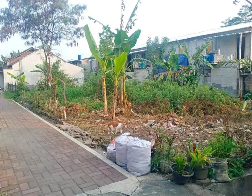 DIJUAL TANAH STRATEGIS – SANGGRAHAN LEGOK (Area Rindam)