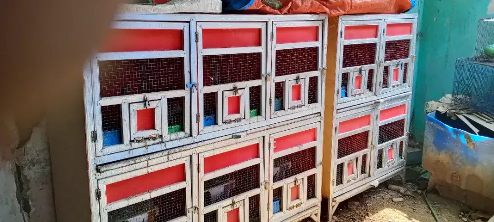 Kandang macan 10 pintu