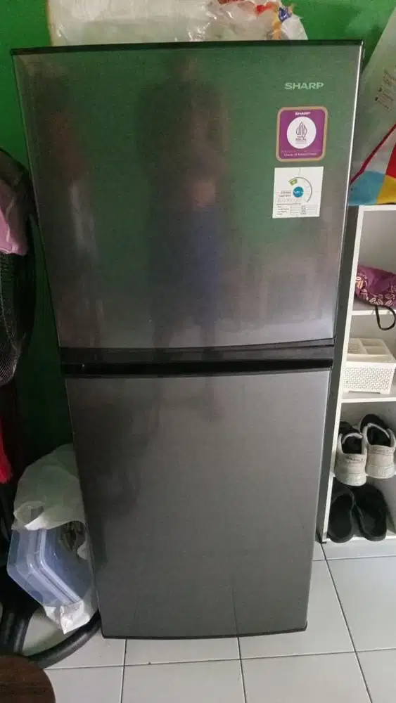 Kulkas Sharp 2pintu